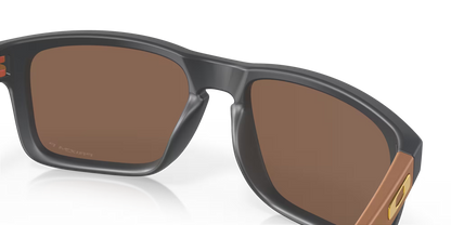 Holbrook Prizm Polar