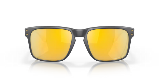 Holbrook Prizm Polar