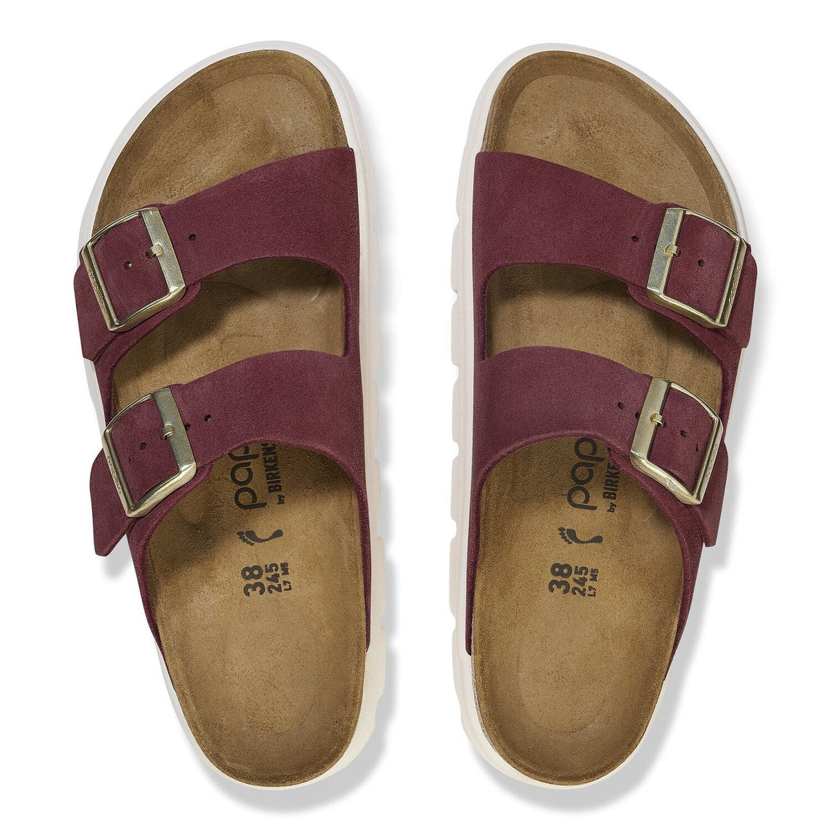 Papillo Arizona Platform