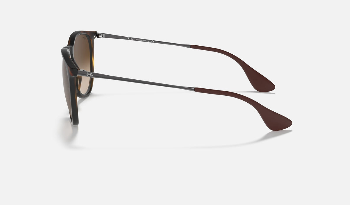 Erika Classic Tortoise Polarized Sunglasses