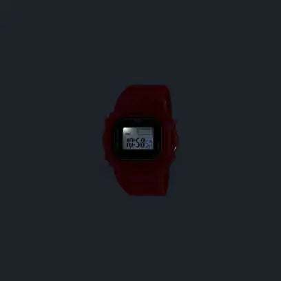 DWN5600-4 Ring
